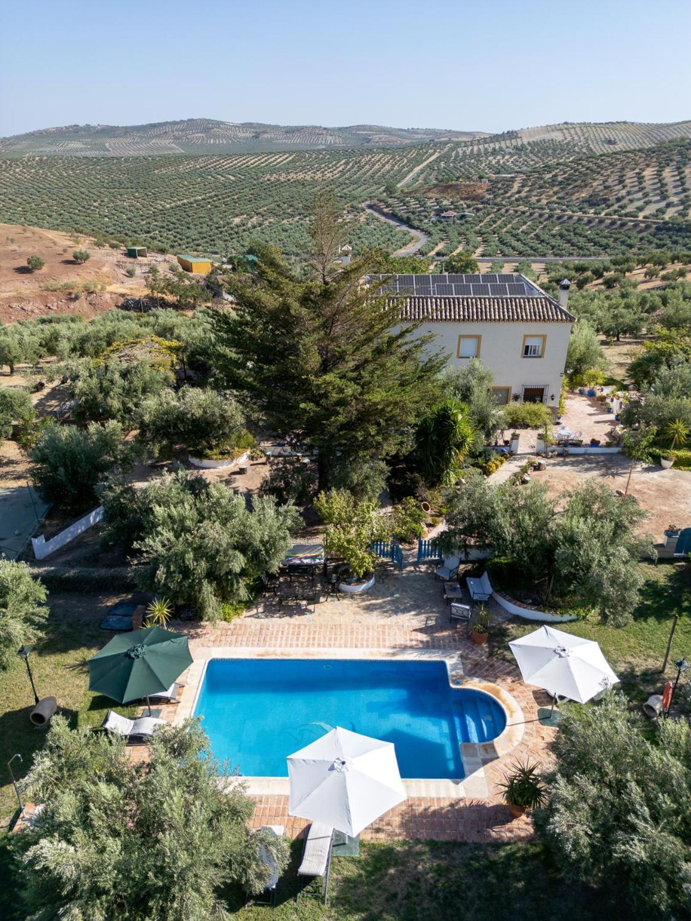 Agroturismo Ecologico El Cortijillo Luque Exterior foto