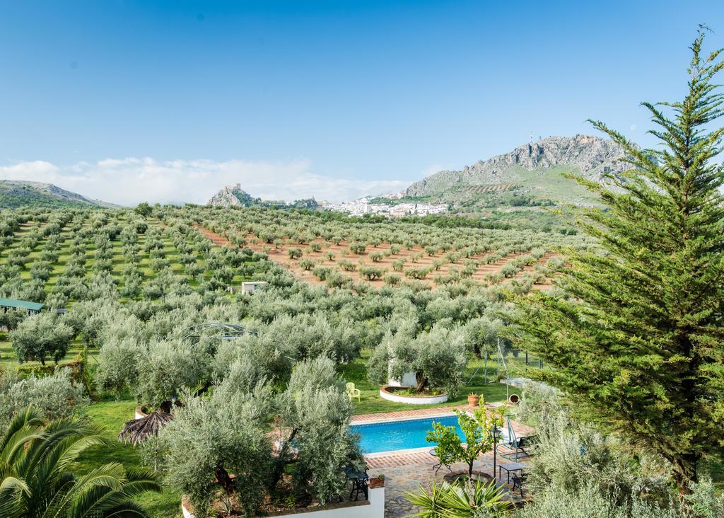 Agroturismo Ecologico El Cortijillo Luque Exterior foto