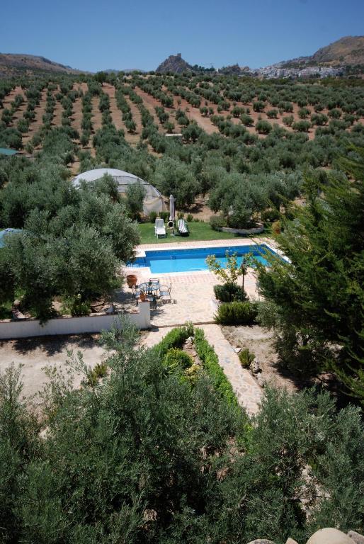 Agroturismo Ecologico El Cortijillo Luque Exterior foto