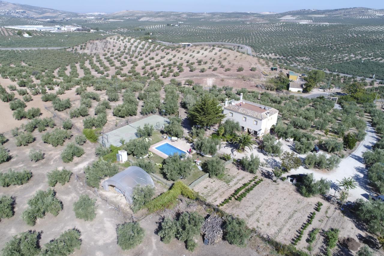 Agroturismo Ecologico El Cortijillo Luque Exterior foto